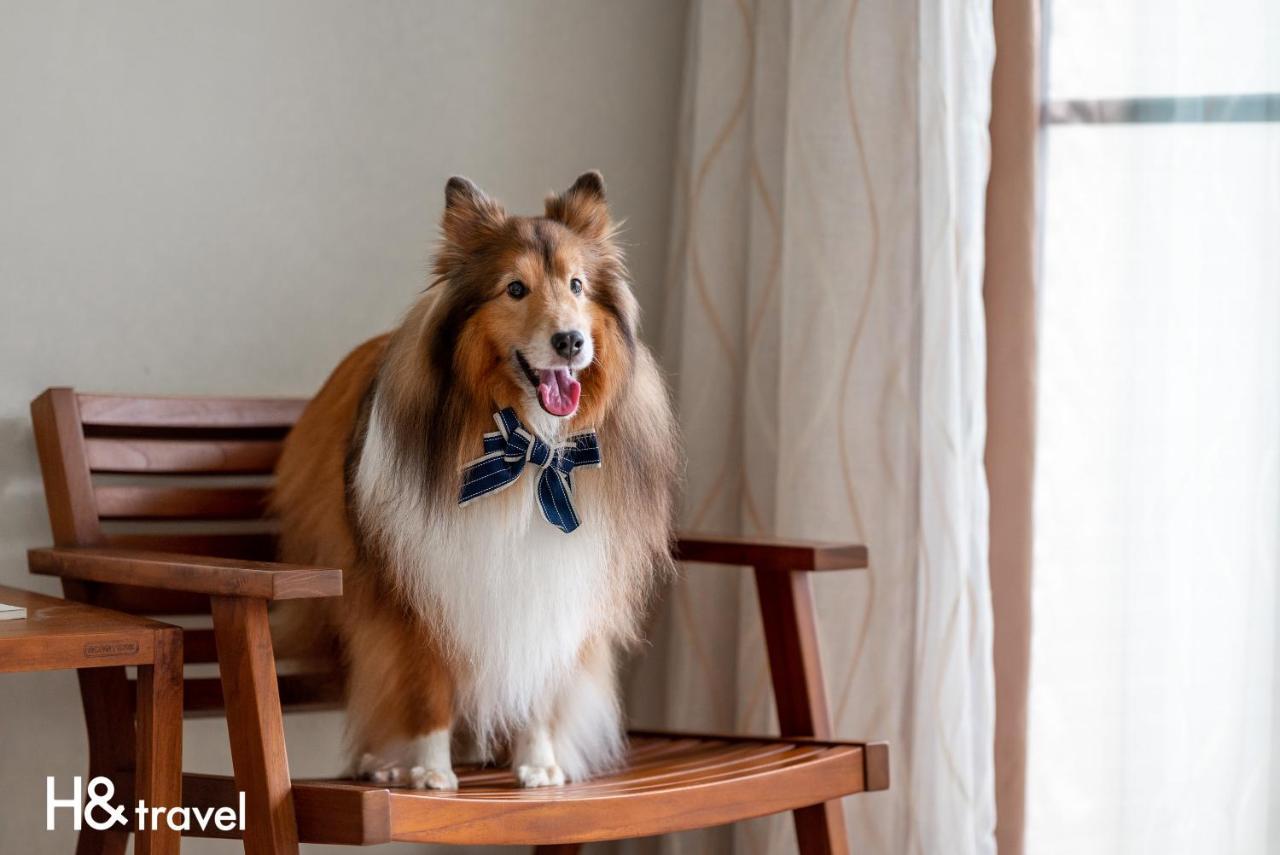 Taitung Rainbow Pet Friendly Maison Resort Buitenkant foto
