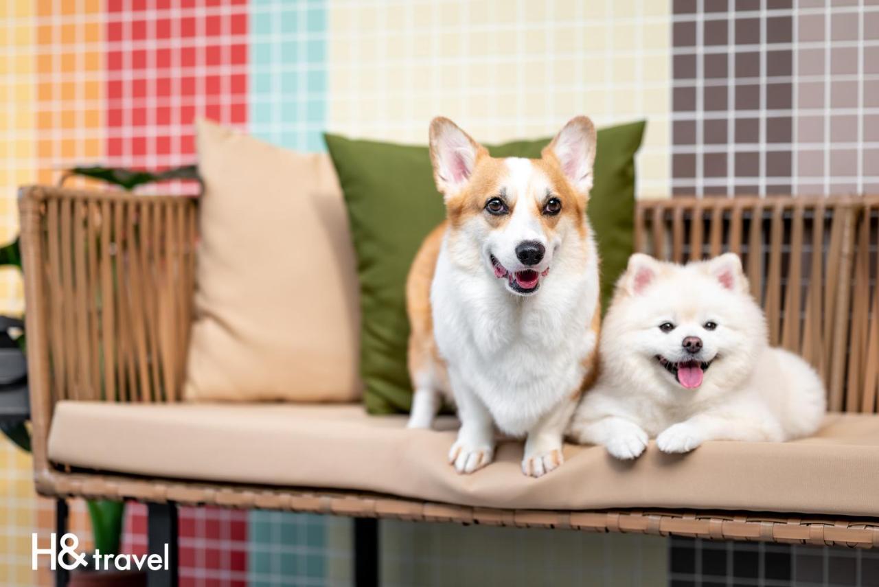Taitung Rainbow Pet Friendly Maison Resort Buitenkant foto