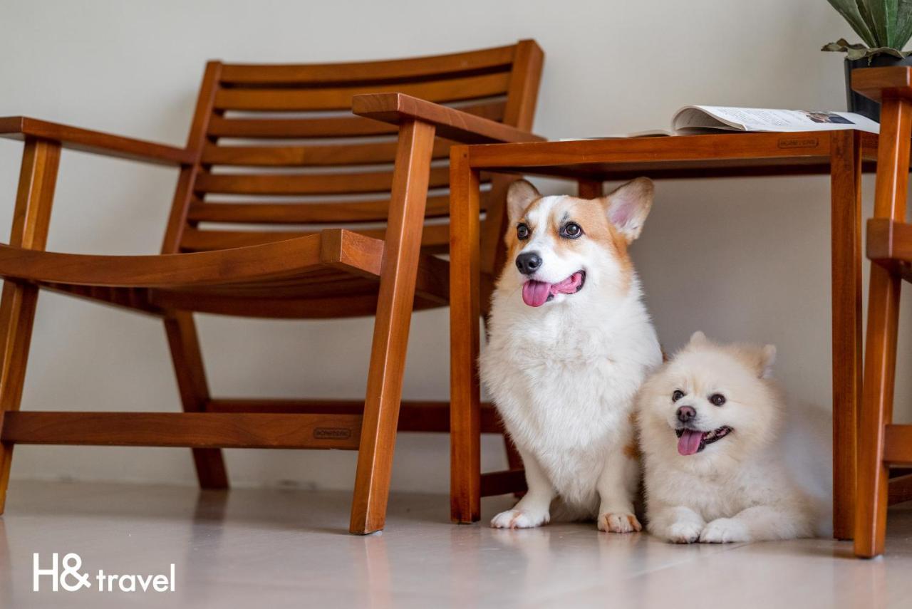 Taitung Rainbow Pet Friendly Maison Resort Buitenkant foto