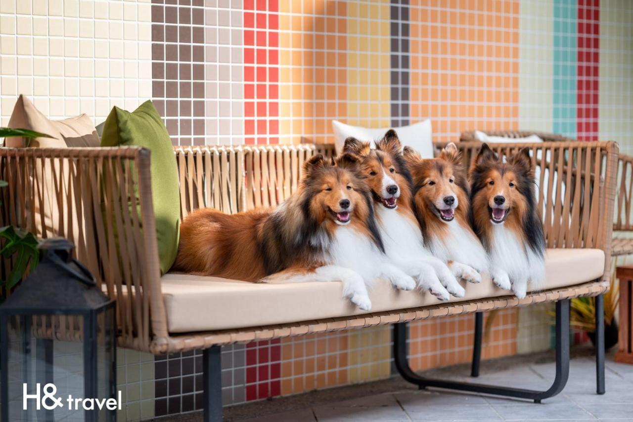 Taitung Rainbow Pet Friendly Maison Resort Buitenkant foto