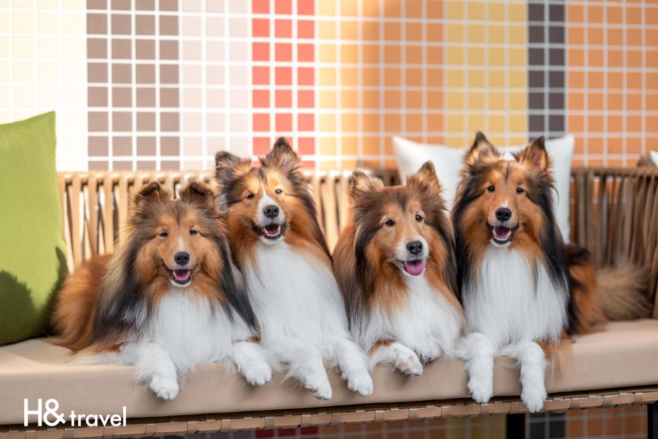Taitung Rainbow Pet Friendly Maison Resort Buitenkant foto