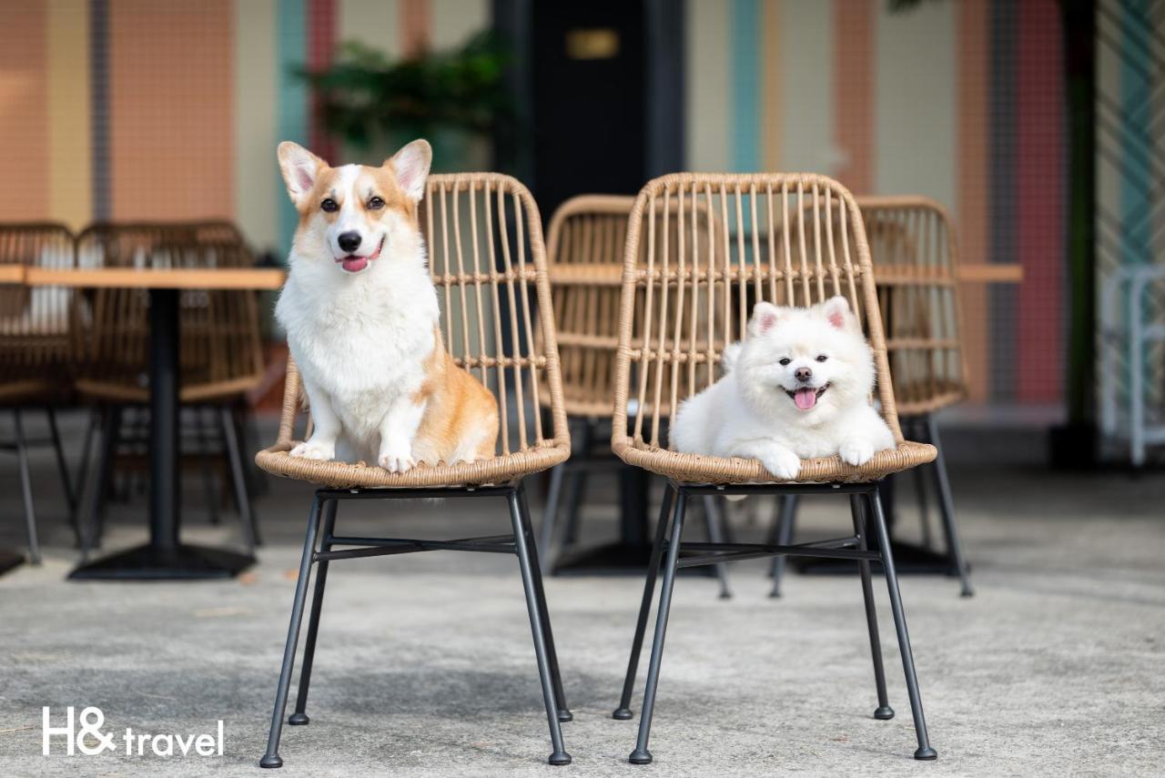 Taitung Rainbow Pet Friendly Maison Resort Buitenkant foto