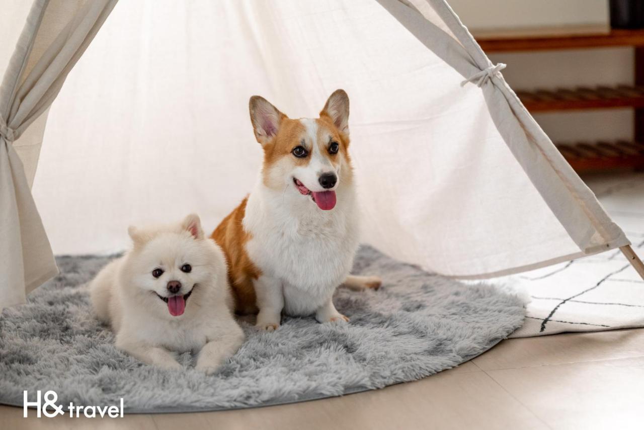 Taitung Rainbow Pet Friendly Maison Resort Buitenkant foto
