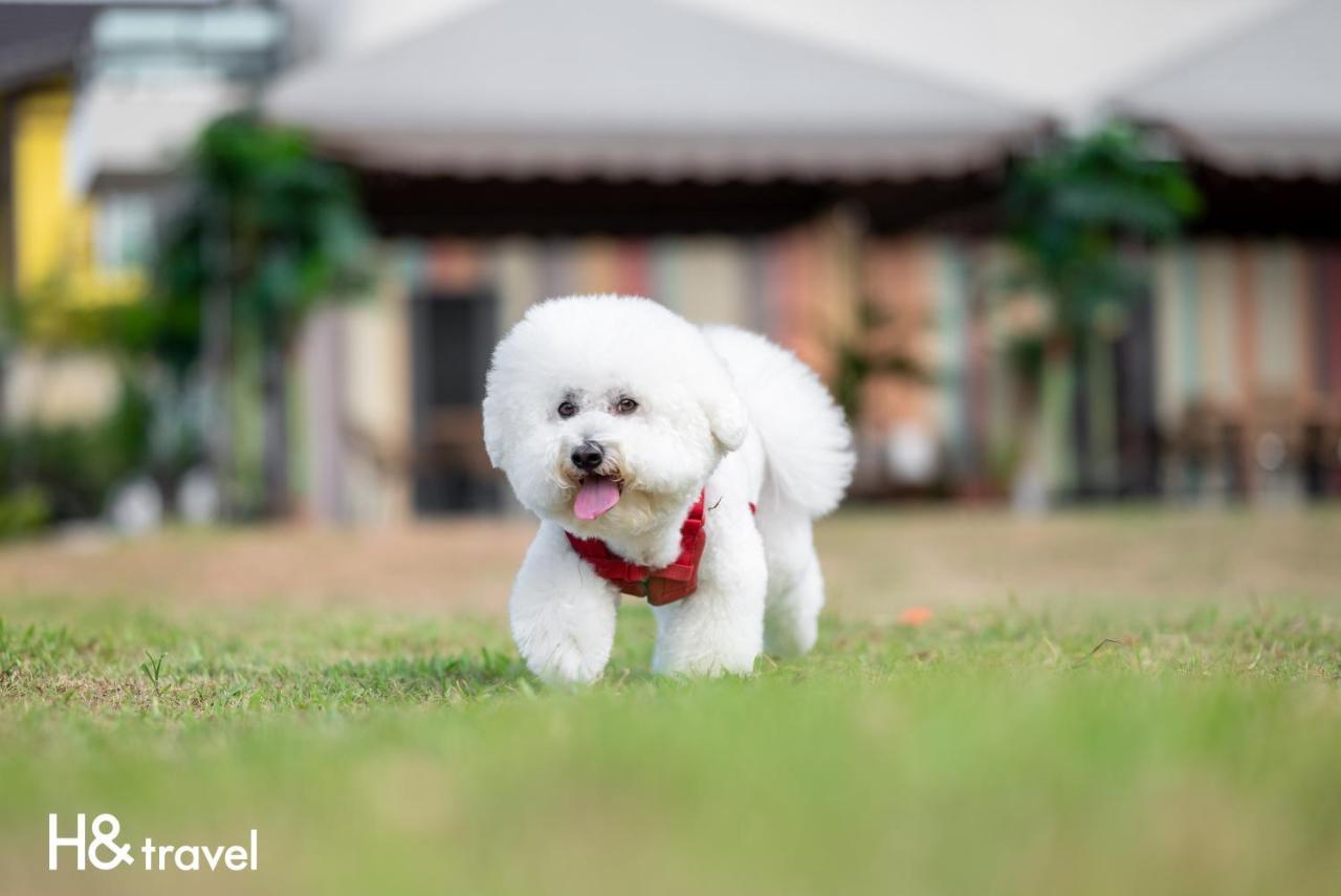 Taitung Rainbow Pet Friendly Maison Resort Buitenkant foto