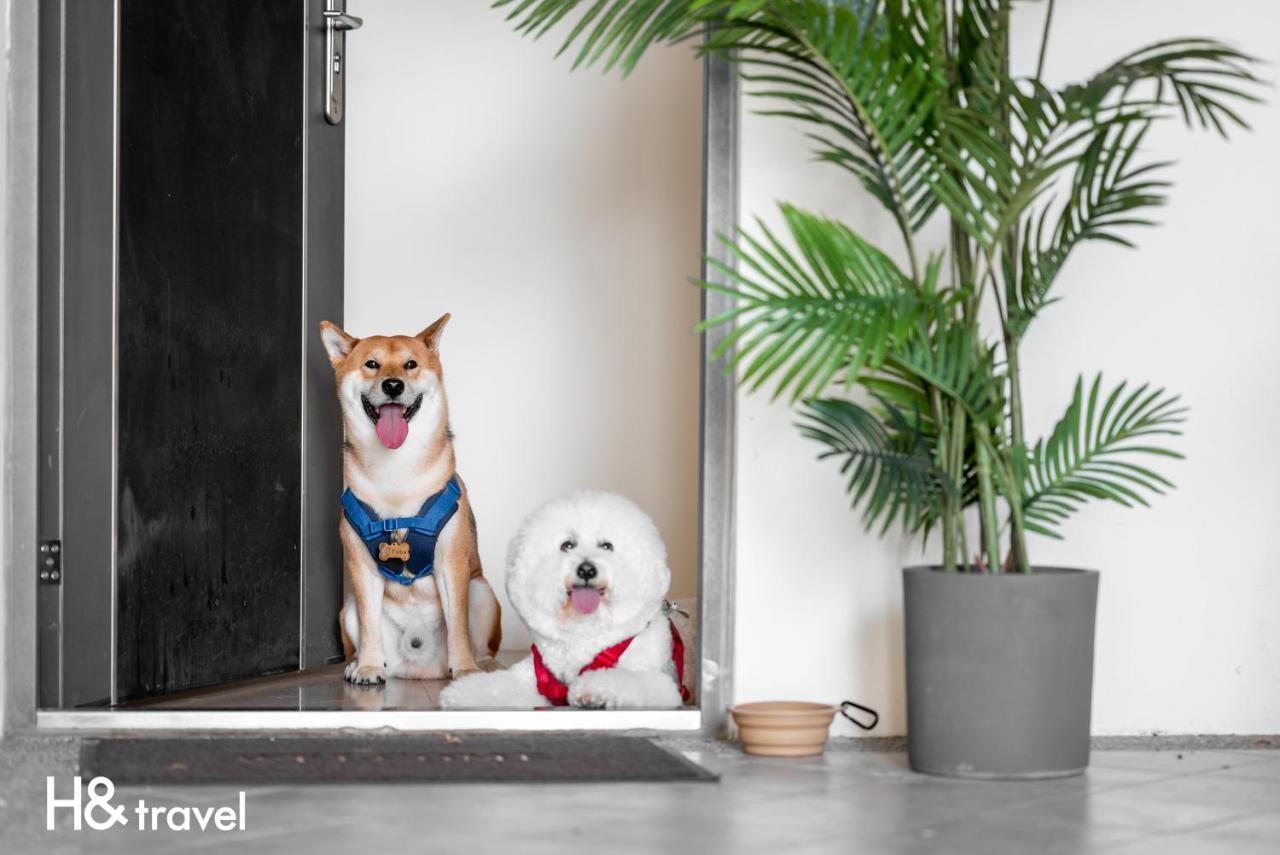 Taitung Rainbow Pet Friendly Maison Resort Buitenkant foto