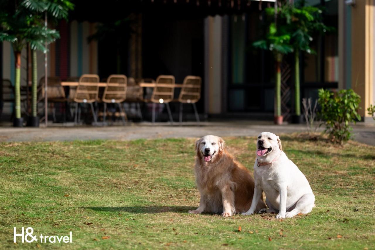 Taitung Rainbow Pet Friendly Maison Resort Buitenkant foto